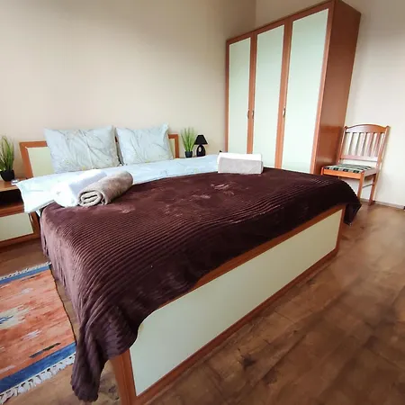 Snow Mountain View *