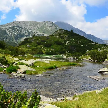 Snow Mountain View * Bansko