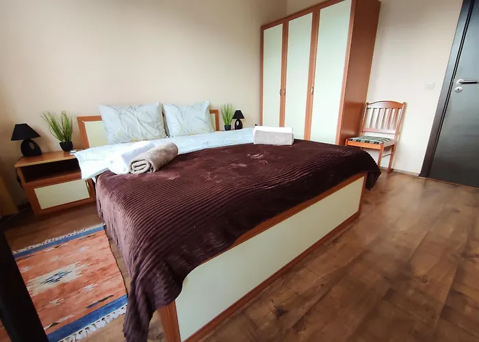 Snow Mountain View *