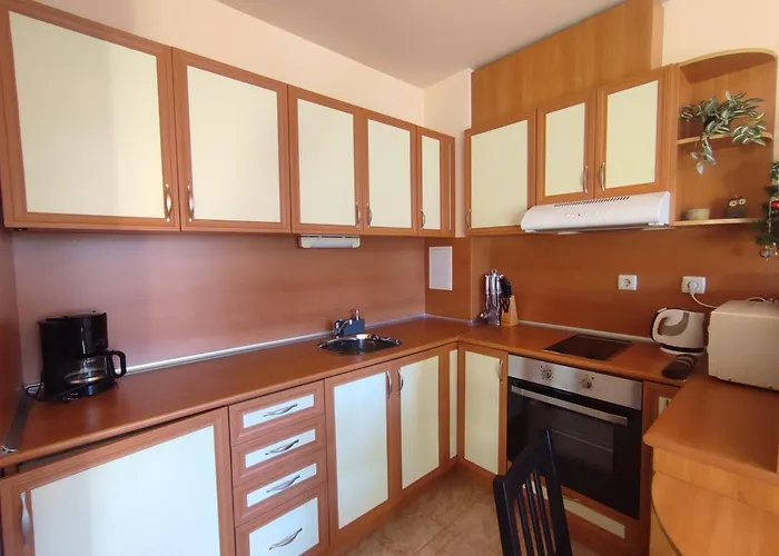 Snow Mountain View *